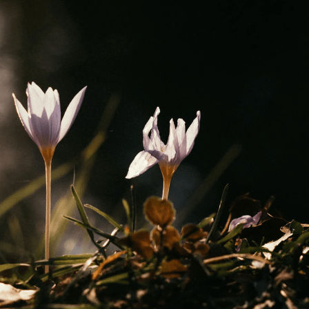 Woomen’s Latest Trends